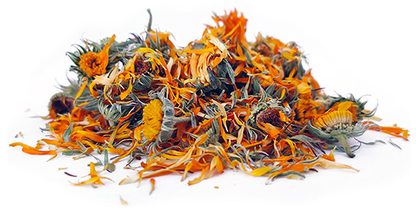 calendula-flowers-small-pile-600x300