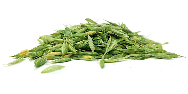 milky-oat-tops-small-pile-600x300