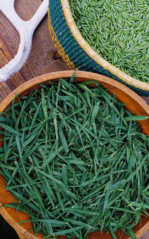 oat-straw-biodynamic-harvested-in-basket-500x800