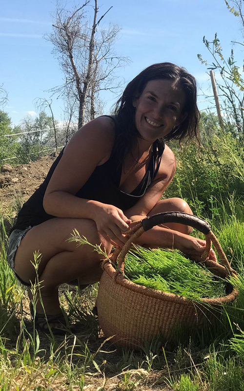 oat-straw-biodynamic-stephanie-syson-harvesting-500x800